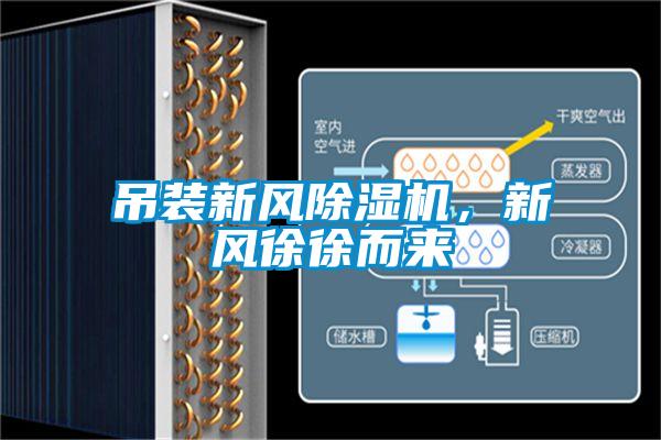 吊装新风除湿机，新风徐徐而来