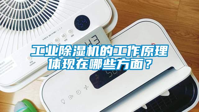 工业除湿机的工作原理体现在哪些方面？