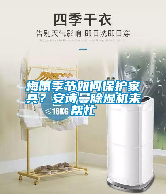 梅雨季节如何保护家具？安诗曼除湿机来帮忙