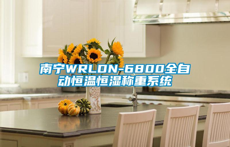 南宁WRLDN-6800全自动恒温恒湿称重系统