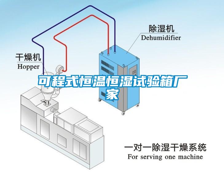 可程式恒温恒湿试验箱厂家