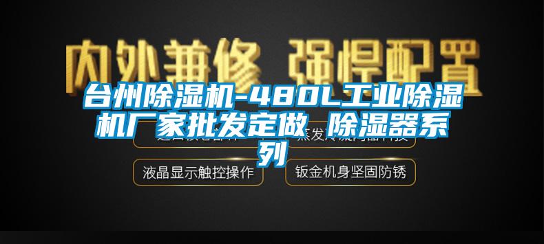 台州除湿机-480L工业除湿机厂家批发定做 除湿器系列