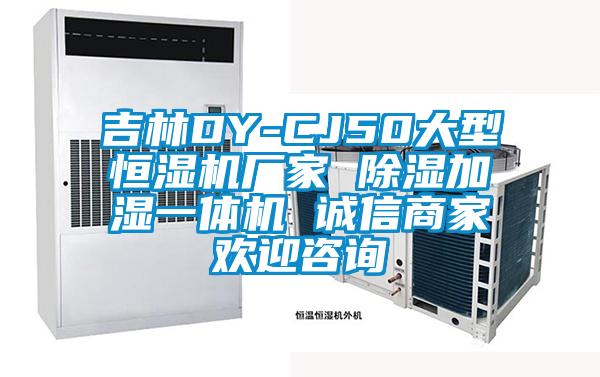 吉林DY-CJ50大型恒湿机厂家 除湿加湿一体机 诚信商家欢迎咨询