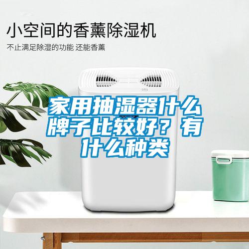 家用抽湿器什么牌子比较好？有什么种类