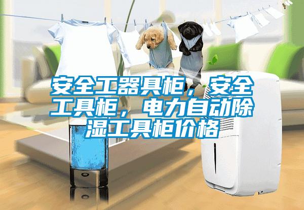 安全工器具柜，安全工具柜，电力自动除湿工具柜价格