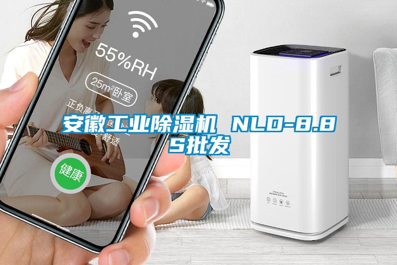 安徽工业除湿机 NLD-8.8S批发