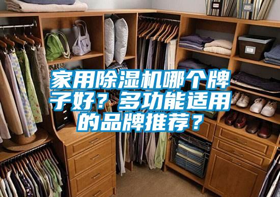 家用除湿机哪个牌子好？多功能适用的品牌推荐？