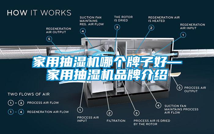 家用抽湿机哪个牌子好—家用抽湿机品牌介绍