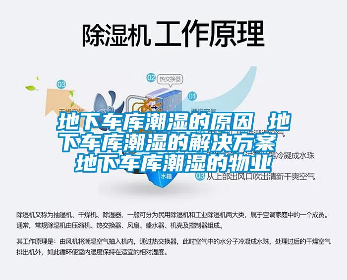 地下车库潮湿的原因 地下车库潮湿的解决方案 地下车库潮湿的物业