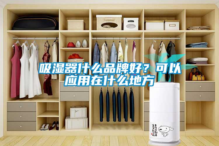 吸湿器什么品牌好？可以应用在什么地方