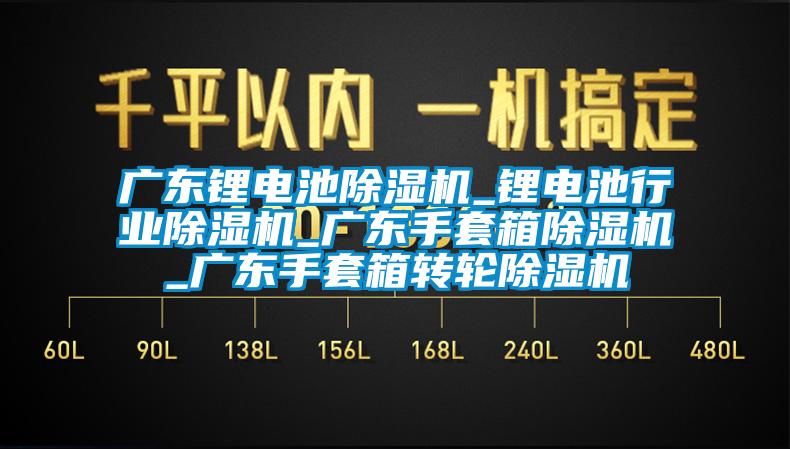 广东锂电池除湿机_锂电池行业除湿机_广东手套箱除湿机_广东手套箱转轮除湿机