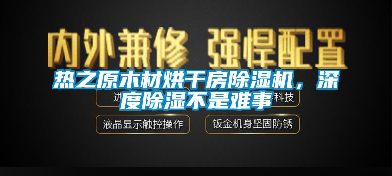 热之原木材烘干房除湿机，深度除湿不是难事