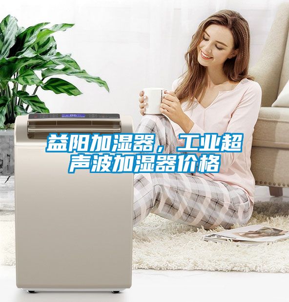 益阳加湿器，工业超声波加湿器价格