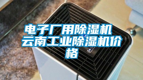 电子厂用除湿机 云南工业除湿机价格