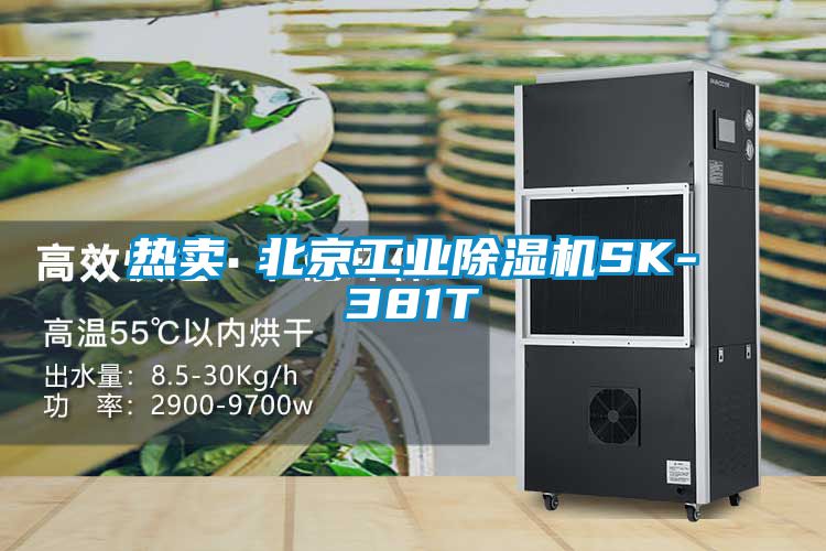 热卖 北京工业除湿机SK-381T