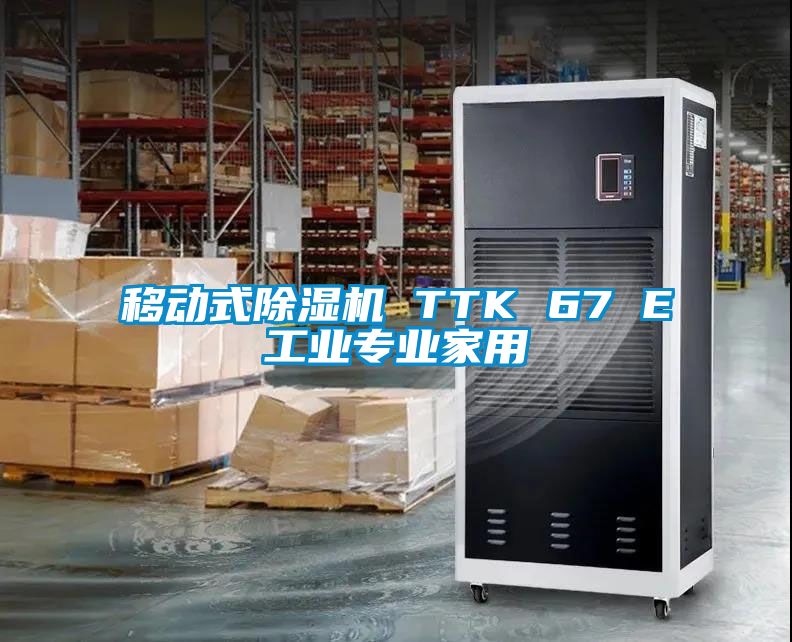 移动式除湿机 TTK 67 E工业专业家用