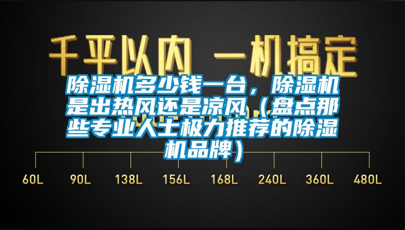 除湿机多少钱一台，除湿机是出热风还是凉风（盘点那些专业人士极力推荐的除湿机品牌）