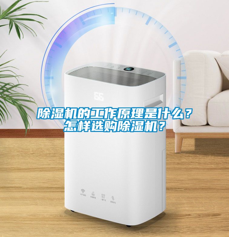 除湿机的工作原理是什么？怎样选购除湿机？