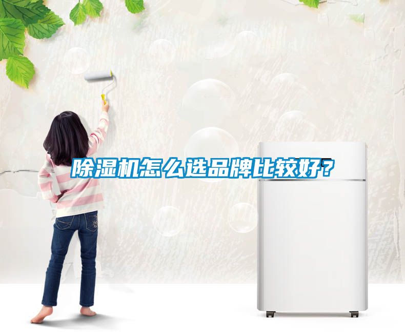 除湿机怎么选品牌比较好？