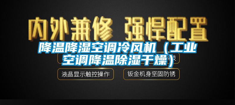 降温降湿空调冷风机（工业空调降温除湿干燥）