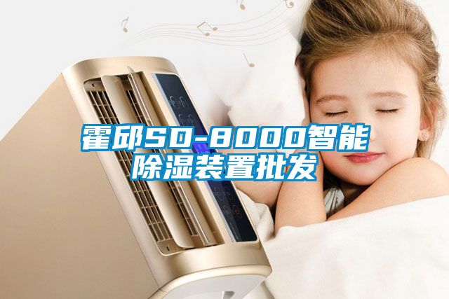 霍邱SD-8000智能除湿装置批发