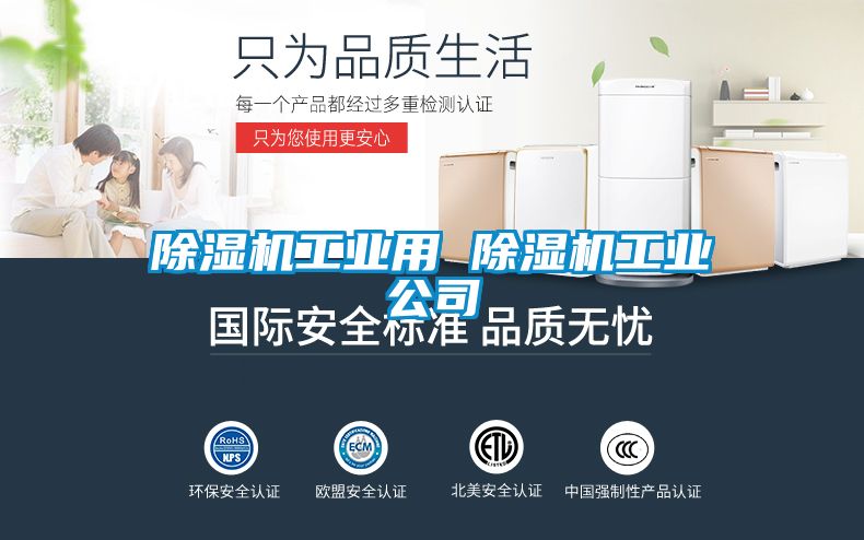 除湿机工业用 除湿机工业公司