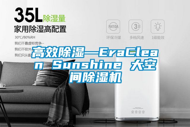 高效除湿—EraClean Sunshine 大空间除湿机